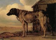 POTTER, Paulus Watchdog oil painting artist